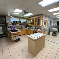 Green Oaks North Pet Hospital ico