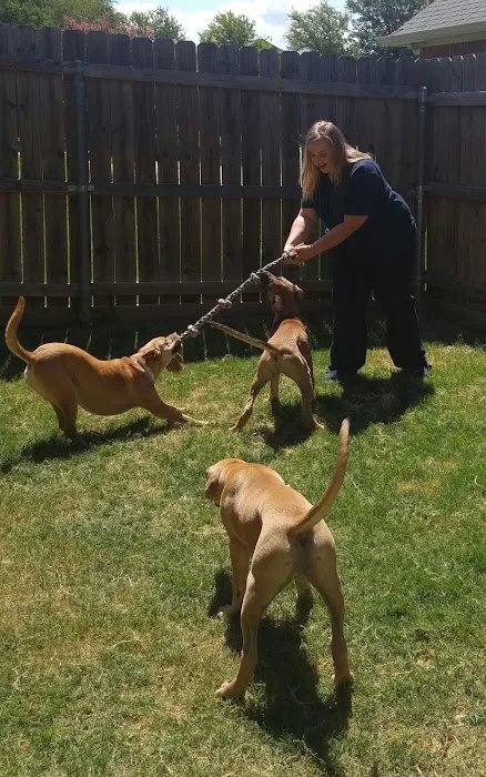 Green Oaks North Pet Hospital Picture 6