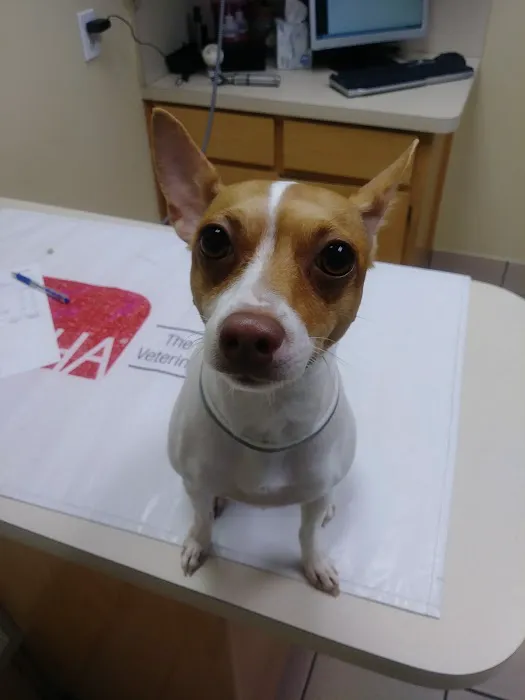 Green Oaks North Pet Hospital Picture 9