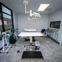 ABQ Spay and Neuter ico