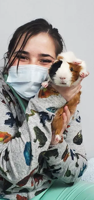 ABQ Spay and Neuter Picture 6