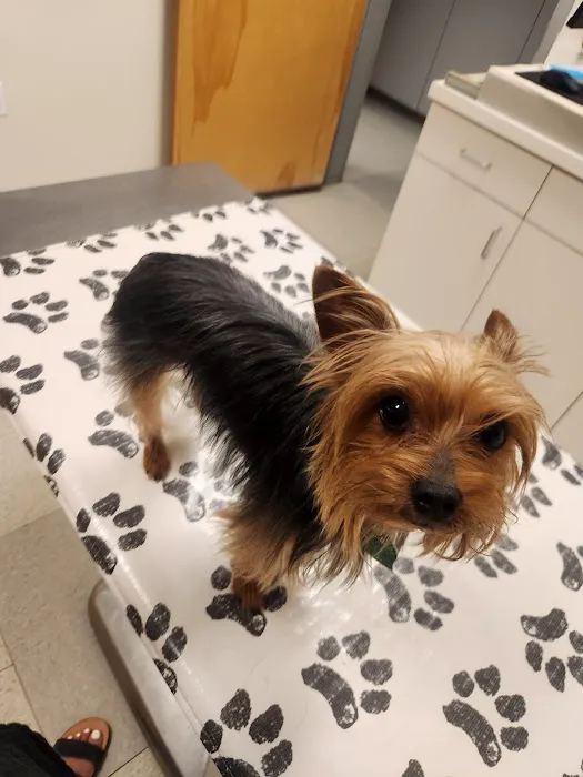 Bolton Animal Hospital Picture 7