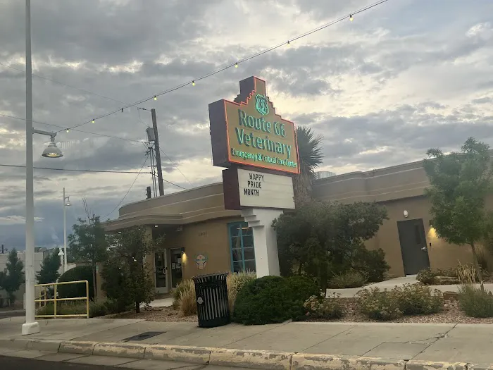 Route 66 Veterinary Emergency & Critical Care Center Picture 3