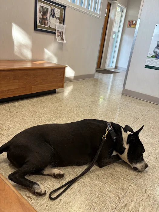 Rio Grande Animal Hospital Picture 9
