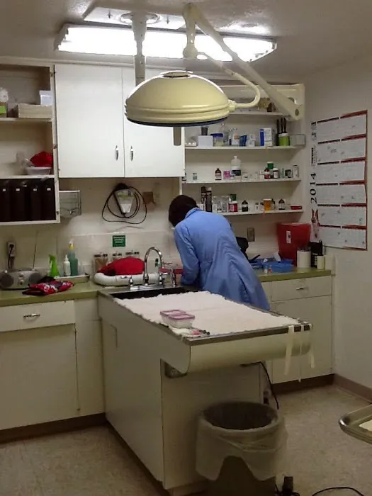 Rio Grande Animal Hospital Picture 10