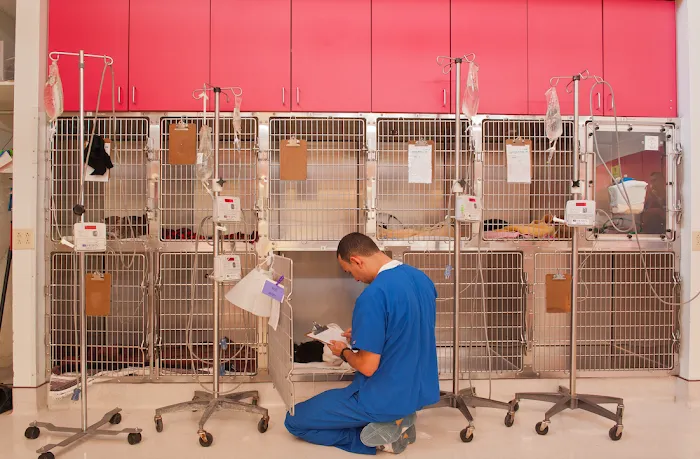 Aztec Animal Clinic Picture 3