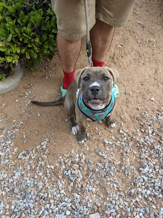 Aztec Animal Clinic Picture 5