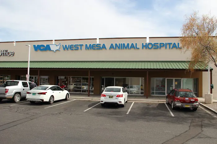VCA West Mesa Animal Hospital Picture 1