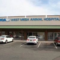 VCA West Mesa Animal Hospital ico