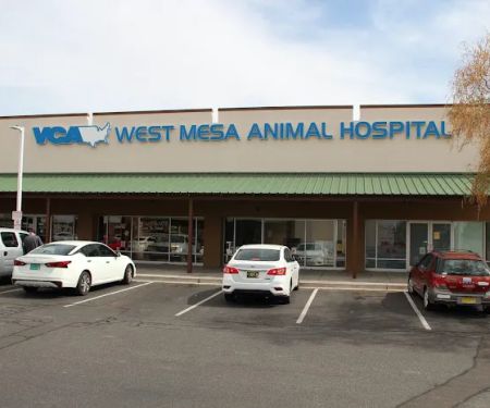 VCA West Mesa Animal Hospital