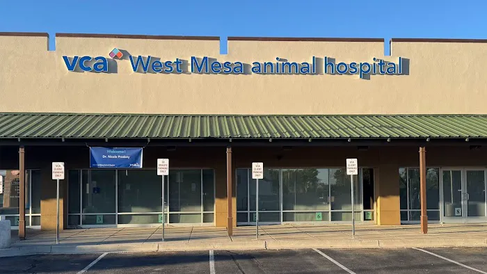 VCA West Mesa Animal Hospital Picture 2