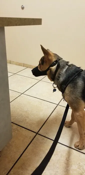 VCA West Mesa Animal Hospital Picture 6