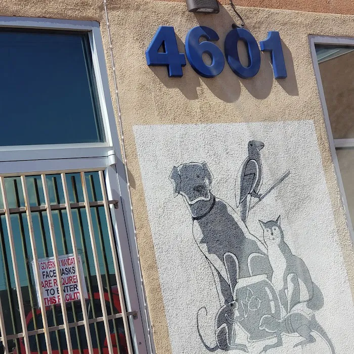 Good Shepherd Animal Clinic Picture 3