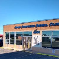 Good Shepherd Animal Clinic ico