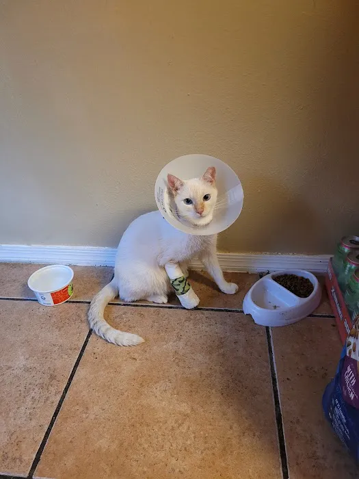 Good Shepherd Animal Clinic Picture 5