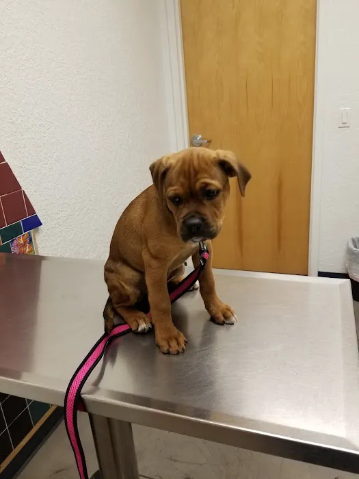 VALLEY VETCO (Quality preventive veterinary care) Picture 7