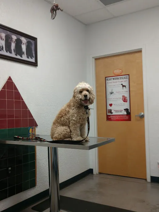 VALLEY VETCO (Quality preventive veterinary care) Picture 10