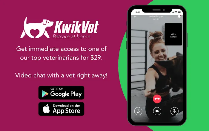 KwikVet - 24 hour veterinarians Picture 6