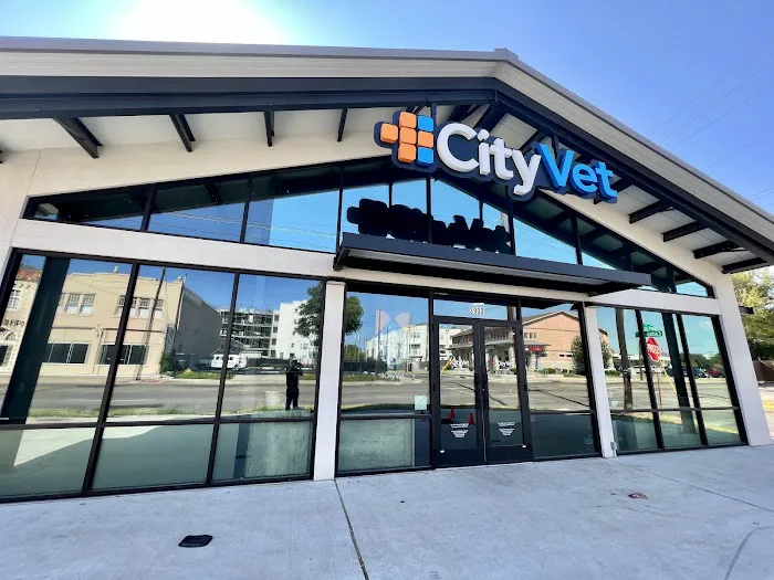 CityVet | Old East Dallas Picture 2