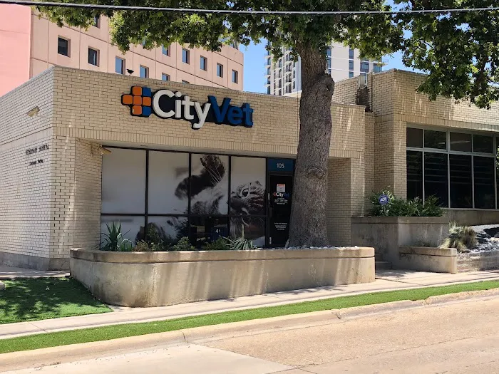 CityVet | Uptown Picture 2