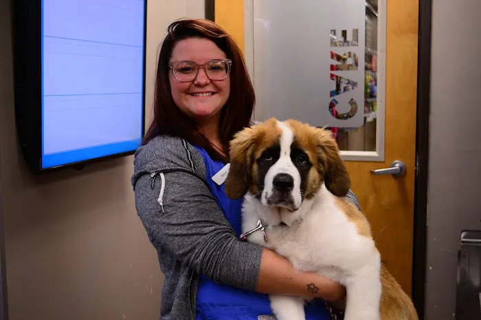 CityVet | Uptown Picture 7