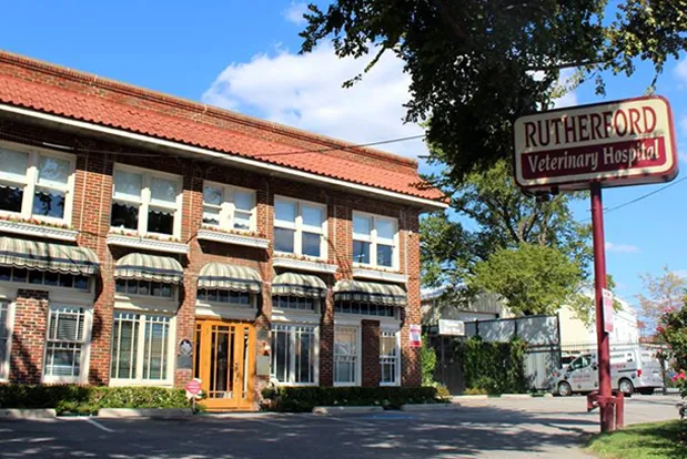 Rutherford Veterinary Hospital Picture 2