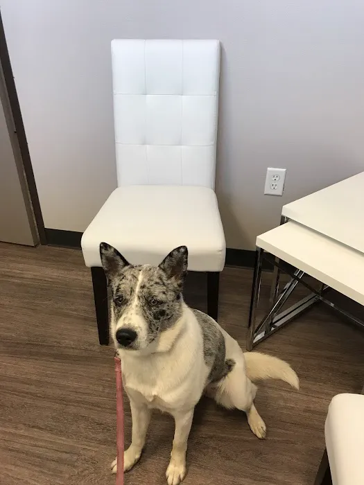 VICTORY BARK VETERINARY CLINIC Picture 4