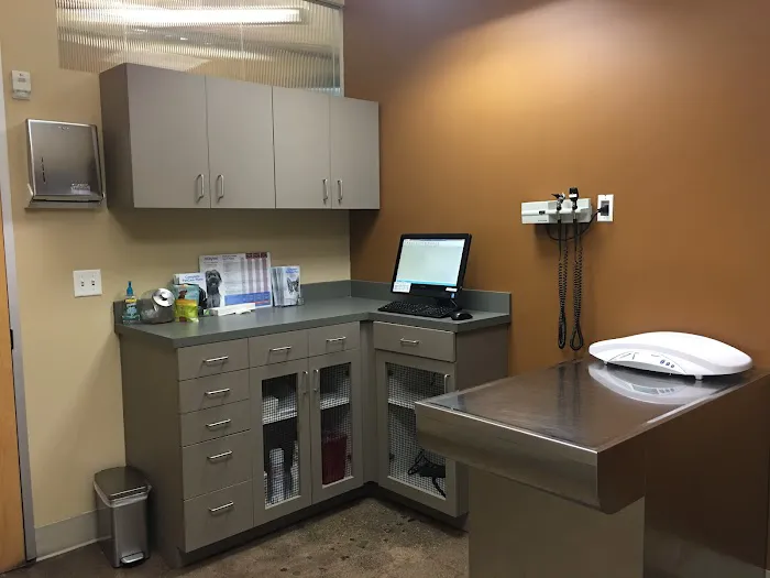 CityVet | Oak Lawn Veterinary Clinic & Urgent Care Picture 8
