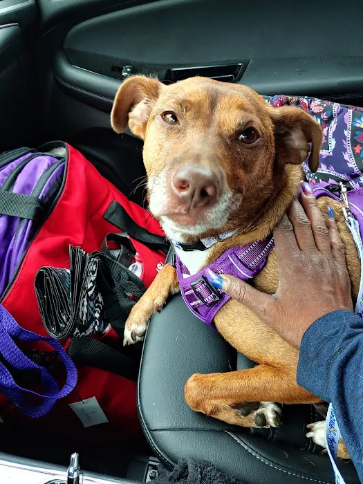 Michigan Humane Veterinary Center Picture 2