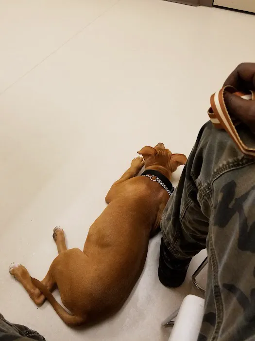 Michigan Humane Veterinary Center Picture 1