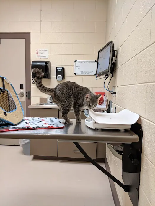 Michigan Humane Veterinary Center Picture 5