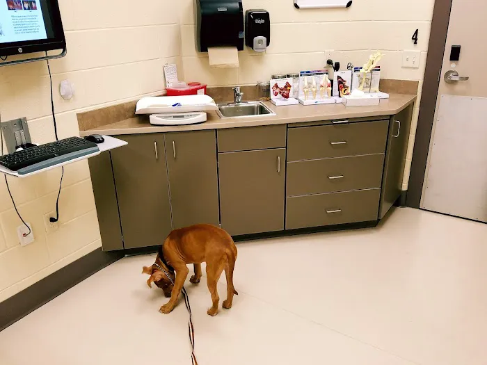 Michigan Humane Veterinary Center Picture 4