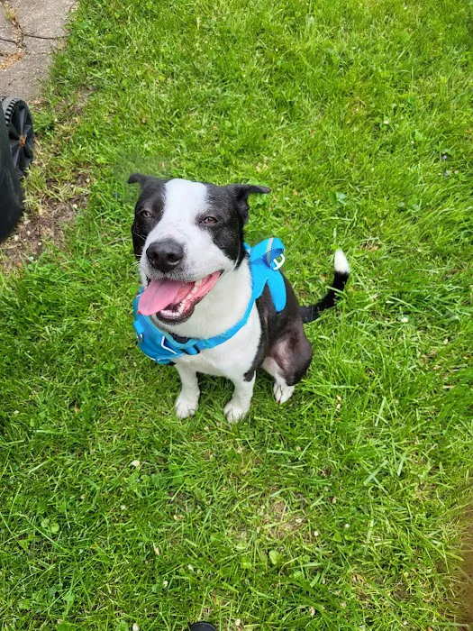 Michigan Humane Veterinary Center Picture 7