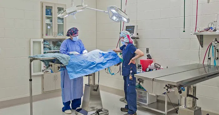Michigan Humane Veterinary Center Picture 10