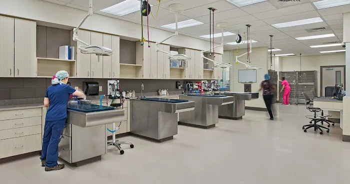 Michigan Humane Veterinary Center Picture 8