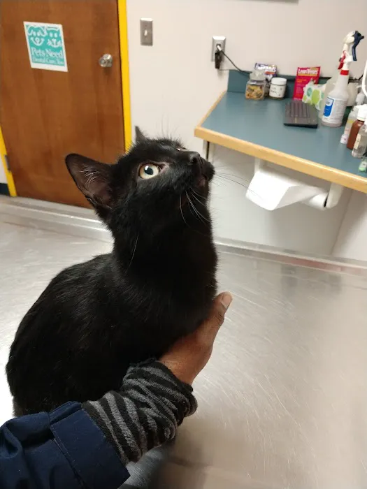 Jefferson Veterinary Center Picture 3