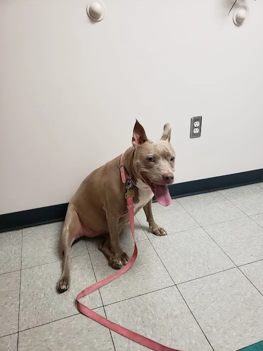 Jefferson Veterinary Center Picture 6