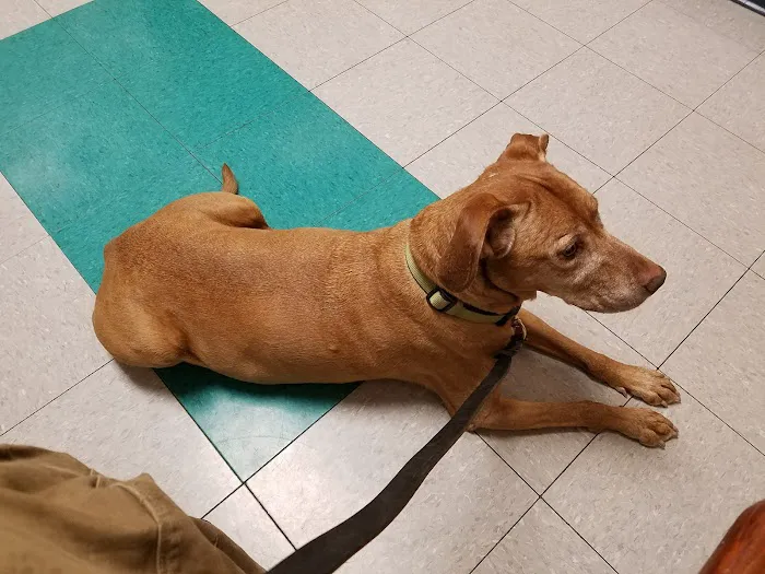 Jefferson Veterinary Center Picture 9