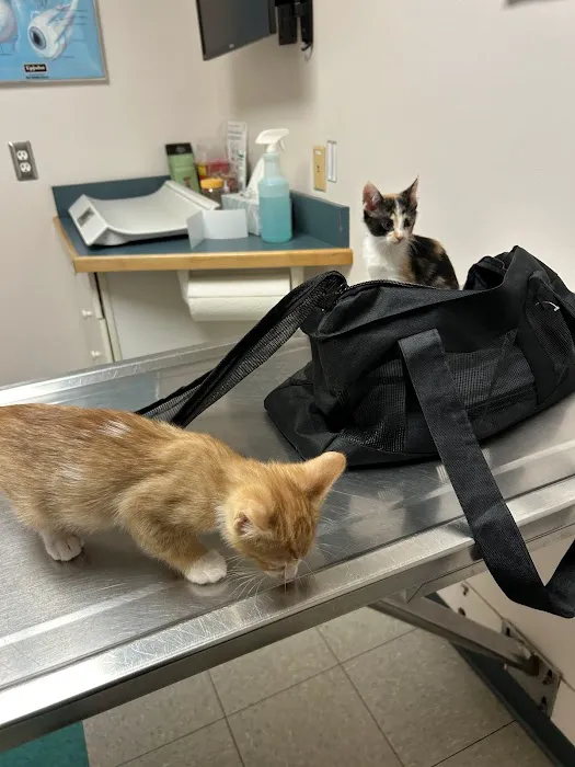 Jefferson Veterinary Center Picture 8