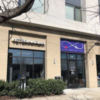 Little Urban Vet Clinic ico