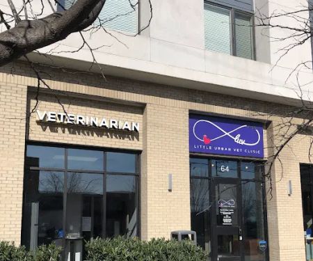 Little Urban Vet Clinic