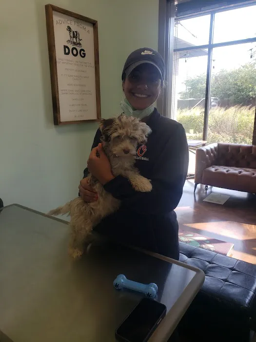 Little Urban Vet Clinic Picture 7