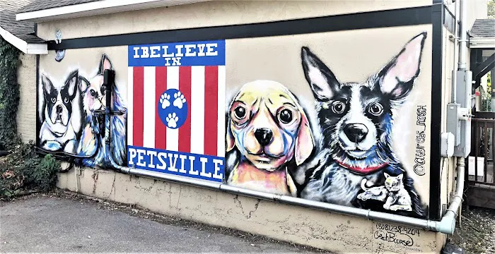 City Pets Animal Care Picture 9
