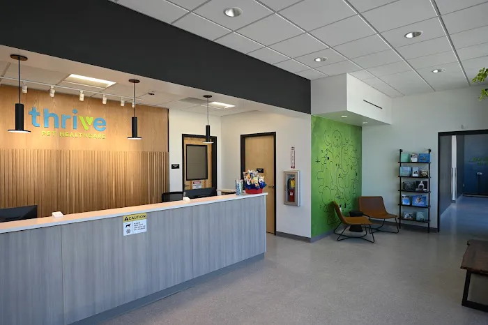 Thrive Pet Healthcare - Wedgewood Picture 4