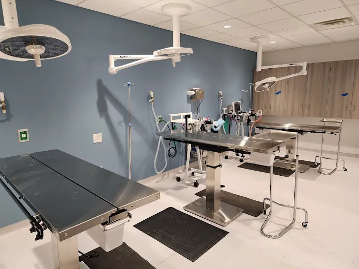 Thrive Pet Healthcare - Wedgewood Picture 7