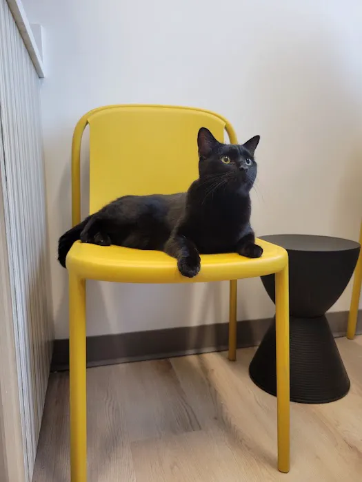 Thrive Pet Healthcare - Wedgewood Picture 8