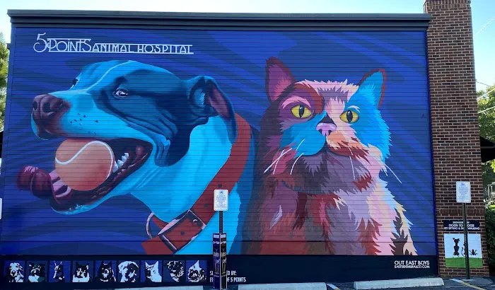 5 Points Animal Hospital Picture 3