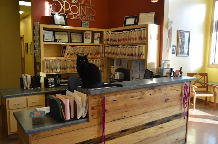 5 Points Animal Hospital Picture 4