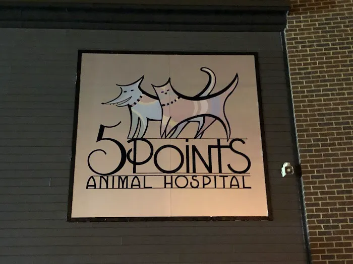 5 Points Animal Hospital Picture 6