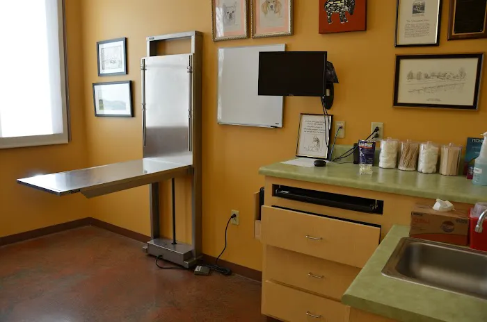 5 Points Animal Hospital Picture 2